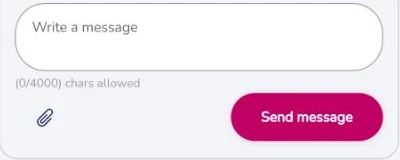 Actual PTE Ultra Support composer with Write a message, attachment and Send message controls; conversation excluded